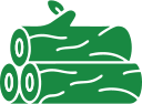 eucalipto